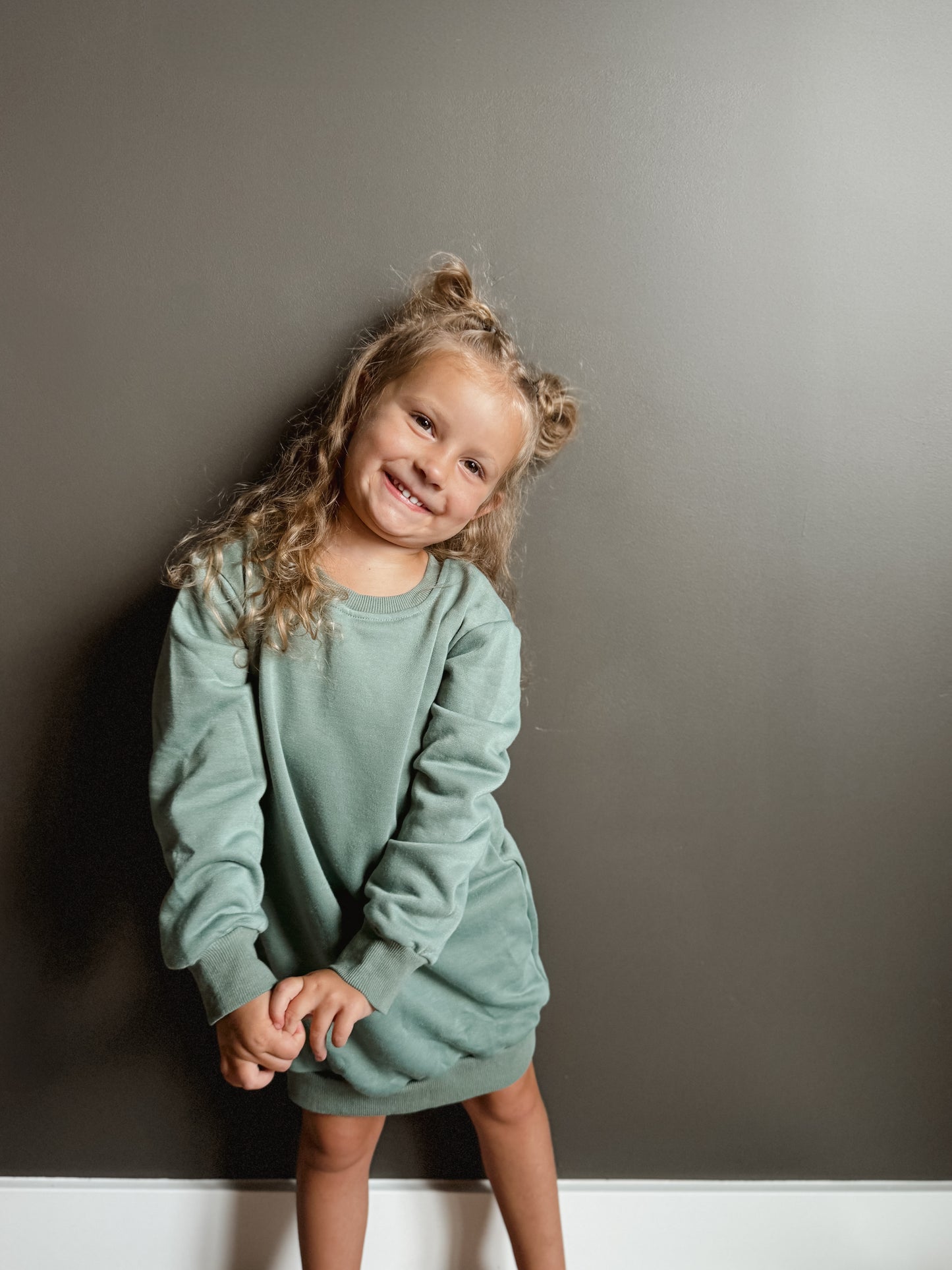Crewneck Shirt Dress
